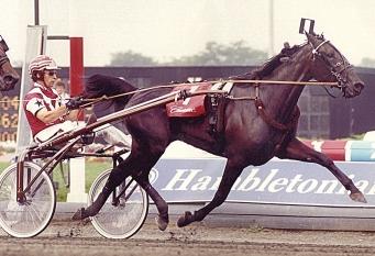 His wealthiest offspring are the mares Lookout Victory and Continentalvictory, each with more than one and a half million dollars in earnings while Continentalvictory (T1:52.