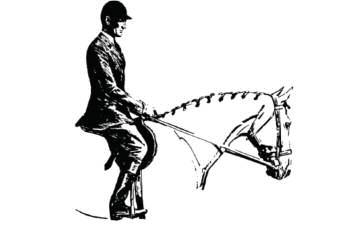 Legs and seat are the base of support and should maintain a deep position. The rider must establish contact with the horse with the calf of the leg and inner knee bone.