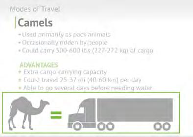 The advantage of the camel, not just as extra cargo-carrying weight, but they were great on long-distance trips. They could travel somewhere in the area of 25 to 37 miles per day.