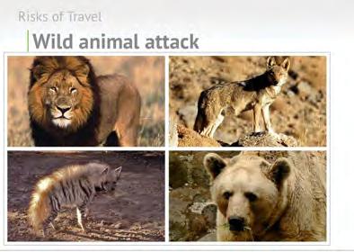 travelers worried about meeting along the way: the Asian lion, the Iranian wolf, the Syrian bear, the white hyena. These animals were very much a part of the fabric of the Promised Land.