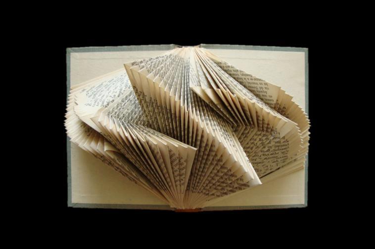 Learn to turn a book into a work of art! You will need to bring two books that can be used for this origami project (i.e. you are willing to fold and/or cut pages in them).
