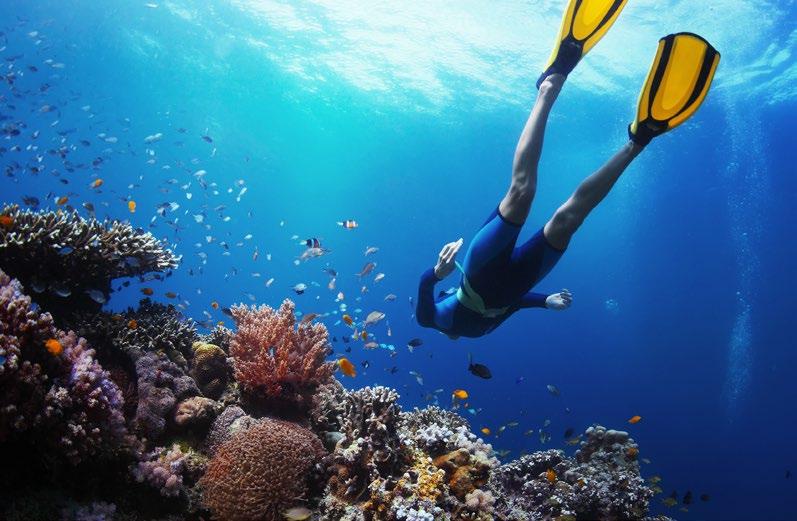 SCUBA DIVING The Indian Ocean s warm clear water and myriad of marine life is one of the world s most famous scuba utopias.