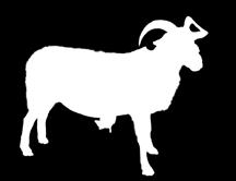ROYAL NORFOLK SHOW - COMPETITIONS 2018 LIVESTOCK Entries Close: Livestock: 17 April 2018, Goats: 1 May 2018 Holly Whitaker, Royal Norfolk Agricultural Association, Norfolk Showground, Dereham Road,