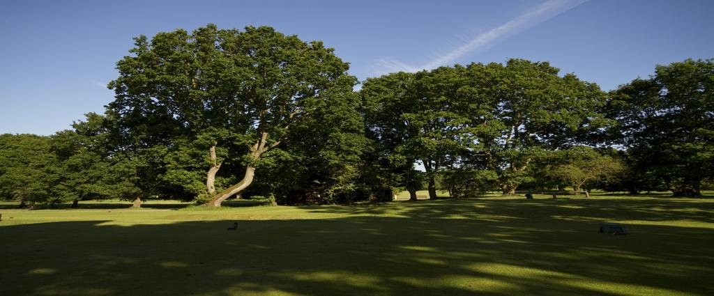 Introduction Welcome to Bury St Edmunds Golf Club We are very proud of our club, with 2 fine golf courses and social facilities to match. There's a welcome to members and guests alike.