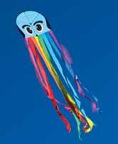 and easy-flying ways, the Rainbow Octopus is a great kite for
