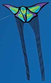 Be the first to elevate your kite collection with this eye-catching easy flier. Made of ripstop nylon with carbon spars. 6-0 x 4-1 with 30-ft. ripstop nylon tail. 28 case. 3-to 18 mph winds.