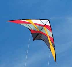 Radical Trick Kites Give your kiteflying a shot of adrenaline! Start flying Freestyle. Get a Trick Kite and teach your kite to do tricks.