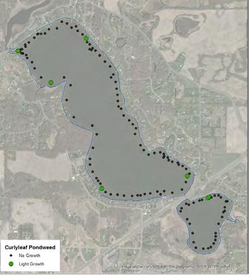 In the delineation survey, curlyleaf was found at 1 site in Comfort Lake and at 1 site in Little Comfort (Figure S1). No areas were delineated for treatment.