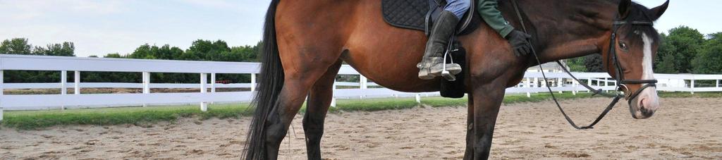 do you get when you combine a rider who s hearing impaired with a horse who hears too much?