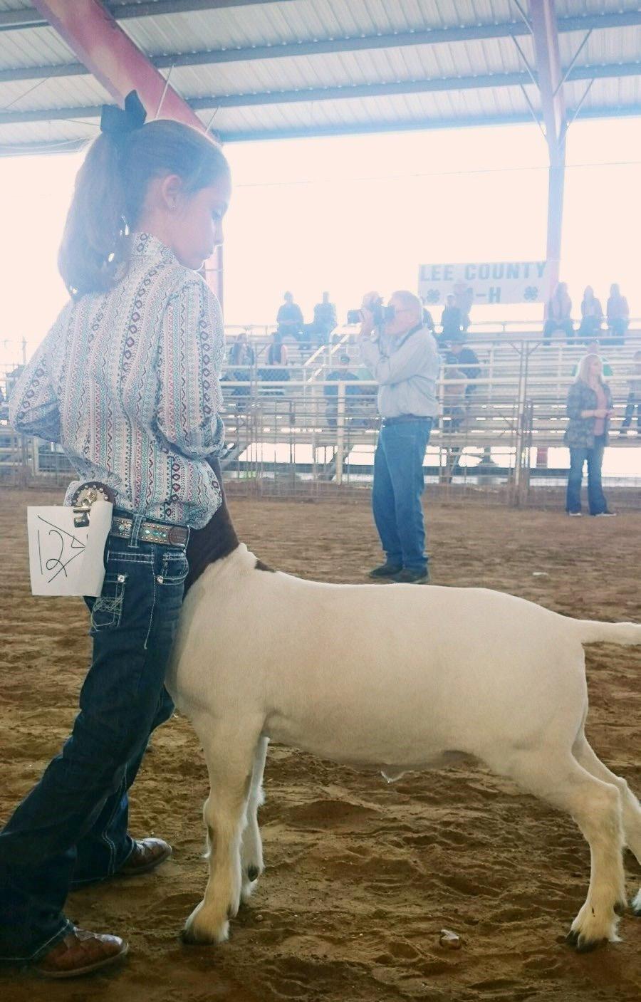 Bayley Pitts, a Lincoln 4-H member, exhibits her goat in the Show Ring at the 2018 LCJLS.