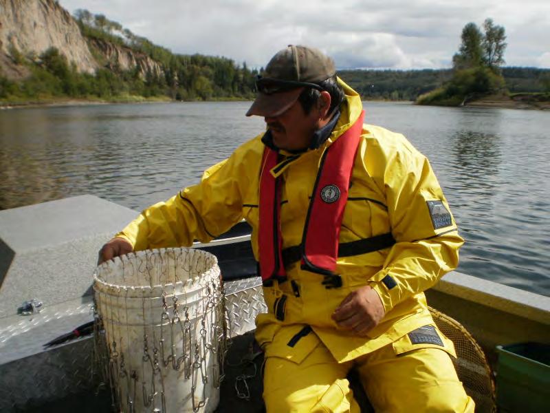 Here a researcher sets heavy fishing lines in the river to catch older sturgeon.