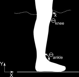 pathological gait. Figure 3.2: Scheme for the multibody ankle-foot model with the representation of kinematics prescribed at the knee joint. Figure 3.1: Diagram of a simplified control scheme for controlling the ankle movement with the AAFO.