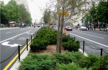 As turning lane substitute with vegetation as the intersection only Something similar-shrubbing a bit shorter. Historical art from specific periods.