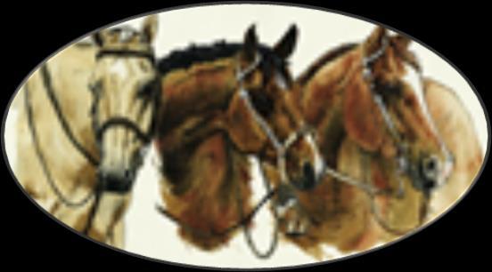2018 Adams County Open Horse Show Series Pattern Book & Sponsors Adams County Regional Park; 9755 Henderson Road; Brighton, 80601 Show Dates Ranch Horse