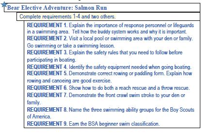 First, go out and meet with packs and give a fun presentation about Cub and Webelos aquatics and introduce them to the concept of safe swim areas, ability groups and the buddy system.