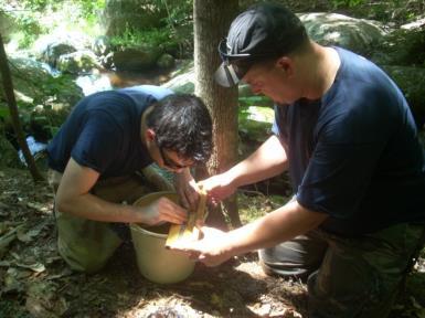 Volunteers help process fish and inventory macroinvertebrates from two streams in Sutton Wild Brook Trout Density and Recruitment Population density can help illustrate the health of wild brook trout