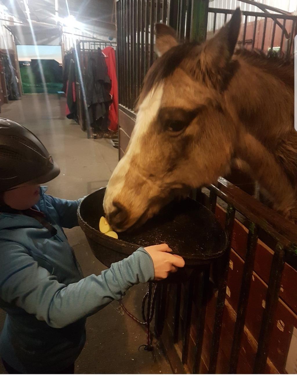 She has always had a love for all animals, especially horses, so when her mom heard about PARDS offering therapeutic riding, she felt it was obviously worth trying.