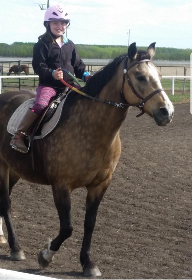 In her lessons Janelle is learning how to be a capable rider, working on skills such as transitions, correct riding position and control of the horse through the use of natural aids.