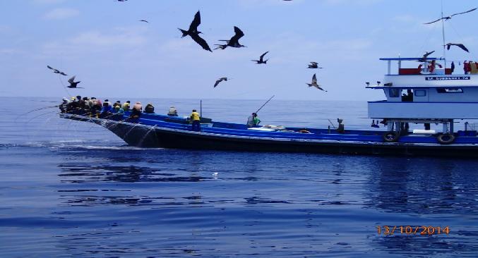Indonesian tuna catch and trends Significance of Indonesia in