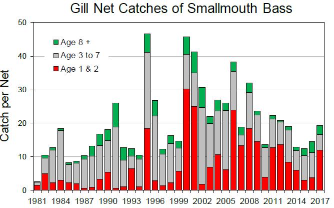Great Lakes Basin Report 21 Smallmouth Bass Lake Erie supports New York s, and perhaps the country s, finest smallmouth bass fishery.