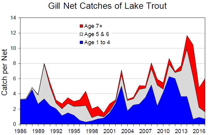 Lake Trout Restoration Re-establishing a self-sustaining lake trout population in Lake Erie continues to be a major goal of Lake Erie s coldwater program.