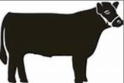 Kansas Junior Beef Producer Day Registration Open The 2018 Kansas Junior Beef Producer Day is scheduled for Saturday, March 24, 2018 in Weber Hall on the Kansas State University campus.