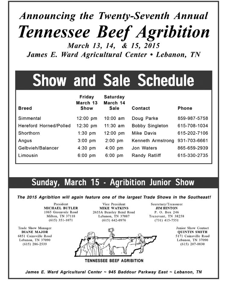 Tennessee Beef Agribition Spring Shorthorn