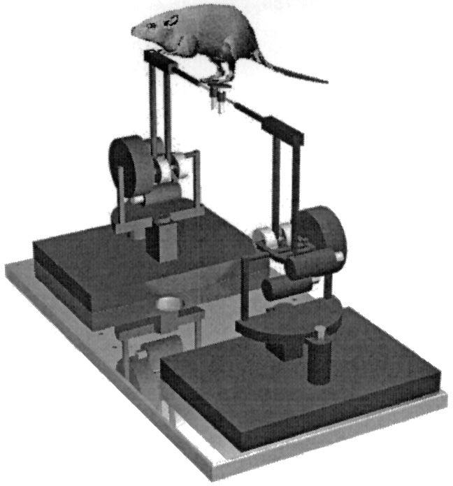First, as mentioned above, such a robot could provide improved experimental control and measurement for treadmill training in rats, enhancing basic research capability.