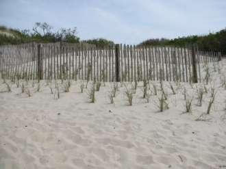 The Spectrum of Coastal Erosion Control Methods Do nothing Combination Managed retreat Beach nourishment Sand
