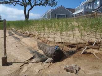 The Spectrum of Coastal Erosion Control Methods Do nothing Managed retreat Beach nourishment Combination Sand