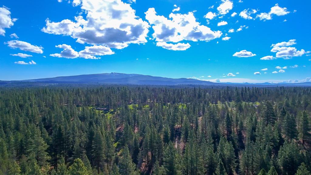 Klamath County is located in south central Oregon east of the Cascade Range. The county covers approximately four million acres with the Fremont-Winema National Forests comprising 2.