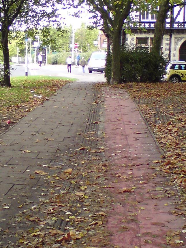 Commentary on Strategic Cycle Routes in Portsmouth - Annex C Mile End Rd/Estella Road 50.811616,-1.08542 Segregated pavement cycle lane leads into a tree.