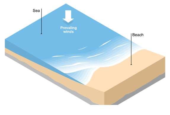 Coastal Transport Waves can approach the coast at an angle because of the direction of the prevailing wind. The swash of the waves carries material up the beach at an angle.