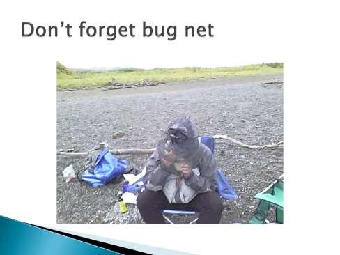 An the bugs can be a problem.