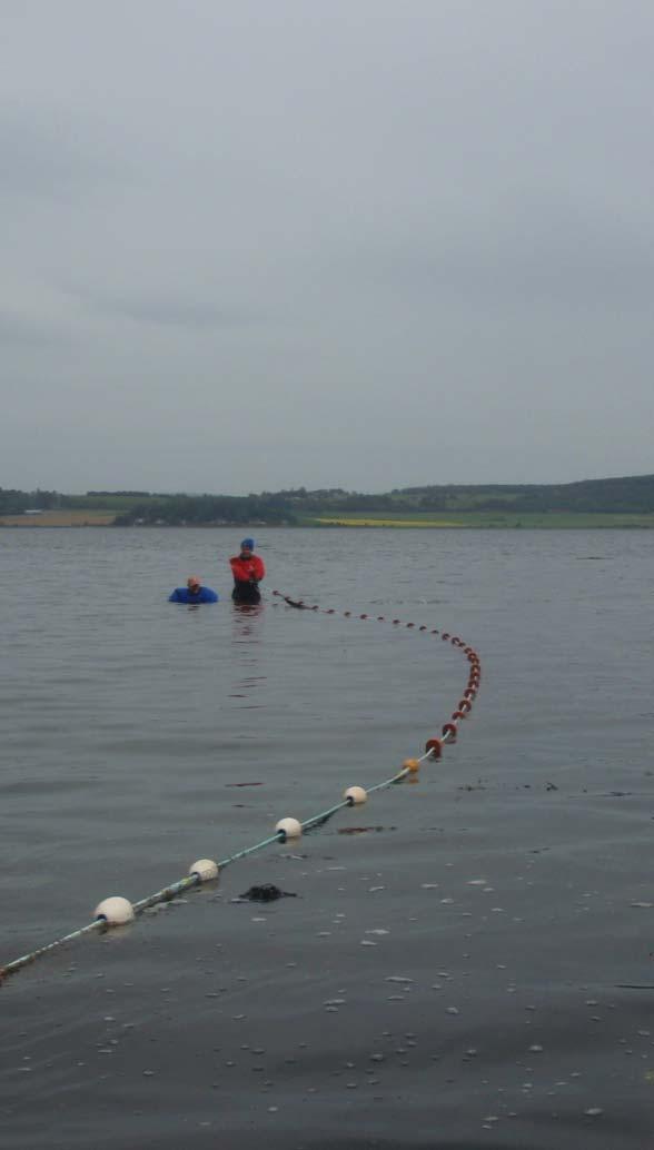 Figure 7 Sweep netting in the Beauly Firth with the catch of the day;