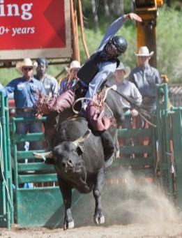 Photo By Annie Coppock 1/2 Page Color Ad in Evergreen Rodeo Program Sponsor Flag Run on Saturday &