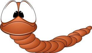 What are worms? Worms are parasites which live, feed and reproduce in the gut of the horse or pony.