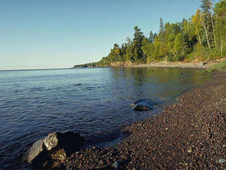 Lake Superior Fishery Change Invasive Species cause of the greatest fishery impacts