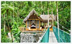 Overnight at the Pacuare Lodge/ Pacuare Lodge 3D/2N Canopy Suite Package/ In & Out: River.