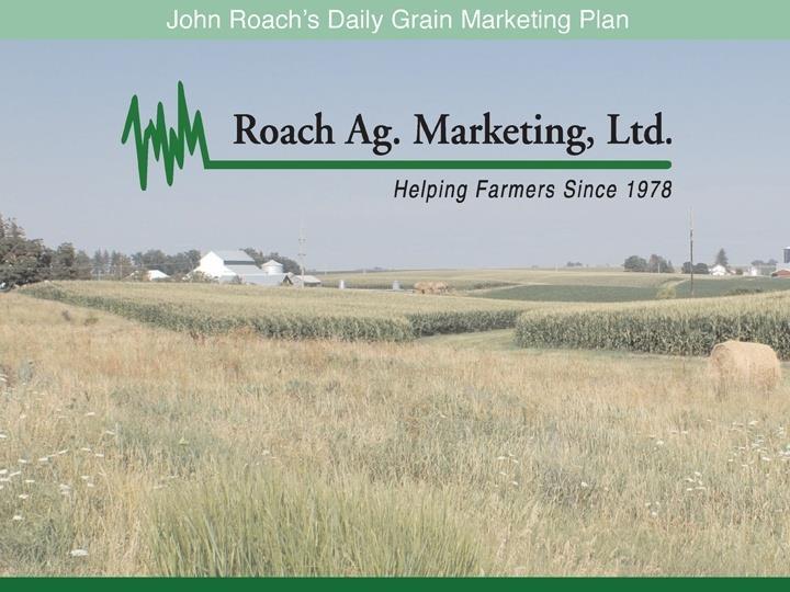 2013-14 Post Harvest Special Grain Market Outlook and Strategies