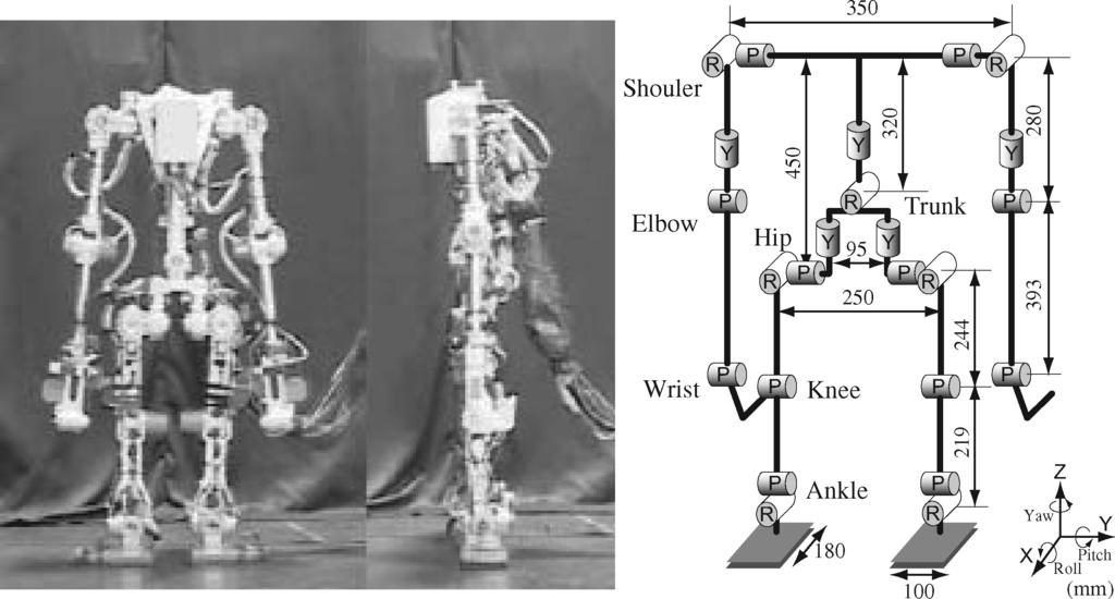 Applied Bionics and Biomechanics 261 Figure 2. Gorilla Robot III. other words, its front leg length is longer than its rear leg length when it is postured for quadruped locomotion see Figure 3(a).