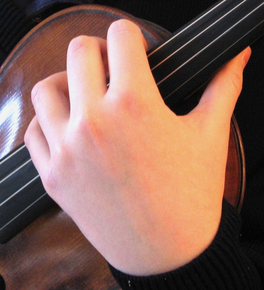 Place the tip of the left thumb in the curve of the neck in roughly fourth position. Tip of the thumb in the curve of the neck 9.