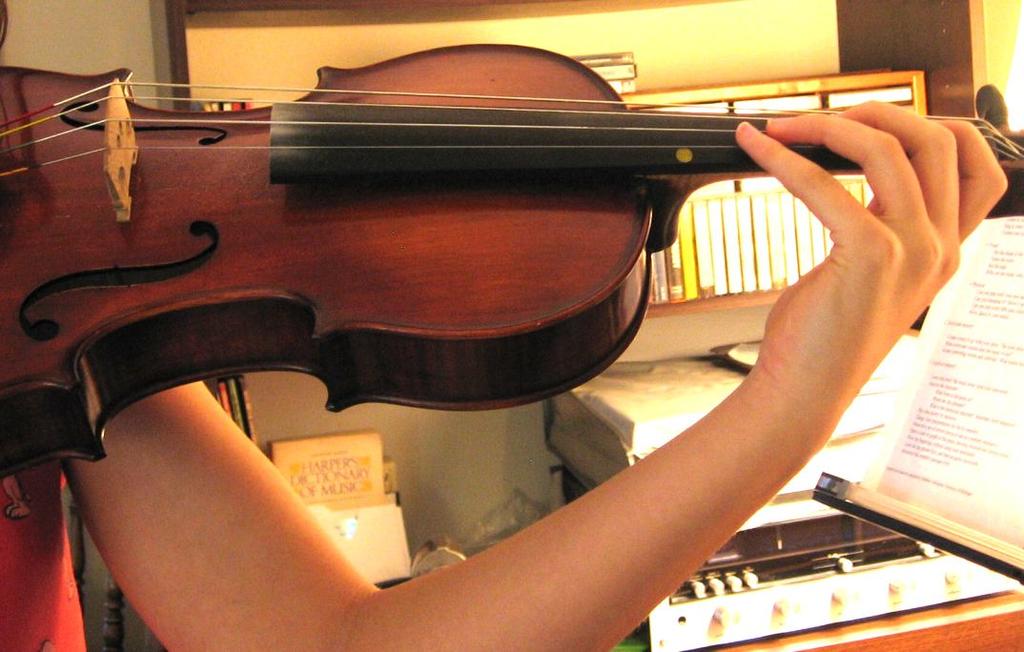 16. Release the left hand to the lower positions. The strings should be level to the ground. Hand in lower position. Strings are level to the ground. 17.