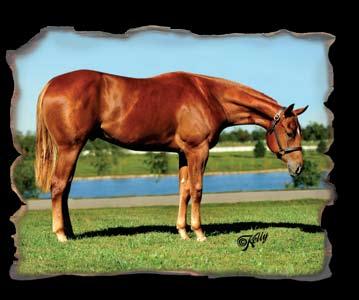 At A Time NOTES: Too Hot To Frisk could be the next great young hunter under saddle stallion by Blazing Hot crossed on a Thoroughbred to make us proud as Hot N Blazing has.