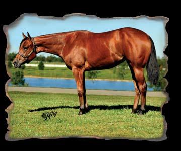NOTES: Hot Lopin Lolita is a beautiful bay mare by the magic cross of Blazing Hot and Born Lopin.