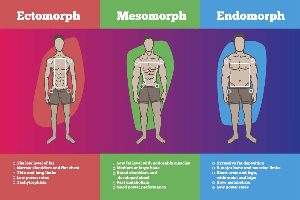 Out of the three body types: ectomorph (slim build), mesomorph (muscular build) and endomorph (husky build), the ectomorphs typically, but unnecessarily label
