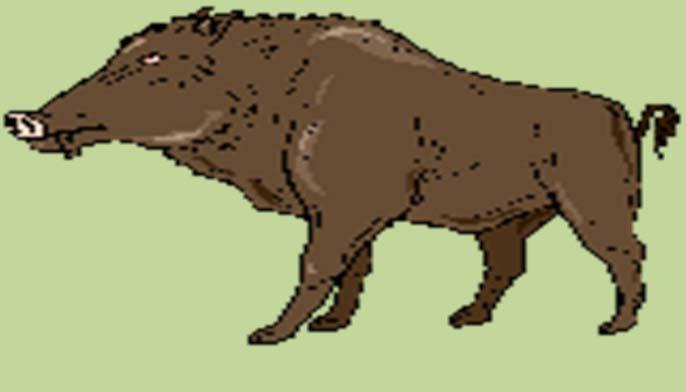 Monitoring of ASF in wild boars all perished wild boars on the whole territory; all sick and