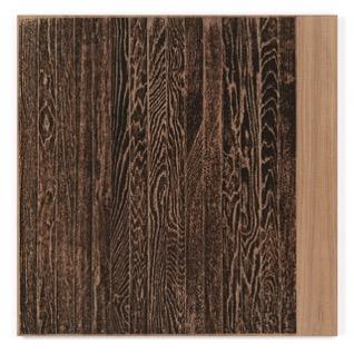 (projected) Edition of 38, Gemini I AS17-3560 $4,200, framed Analia Saban Wooden Floor on