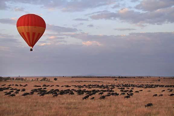 breath away. ~anonymous ltd. We were fortunate and had a beautiful morning with a few clouds and very light winds. Shortly after lift off, we found ourselves sailing directly over the great migration!