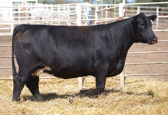 Safe to the PE and due 3/27/2019. TJ 85Z Sells as Lot 72.